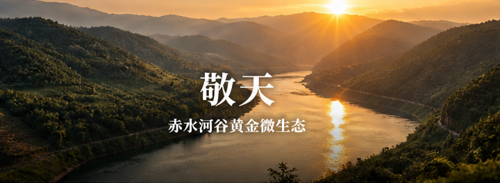 敬天,赤水河谷黄金微生态